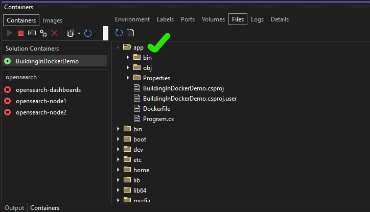 Docker visual studio volumes 6c