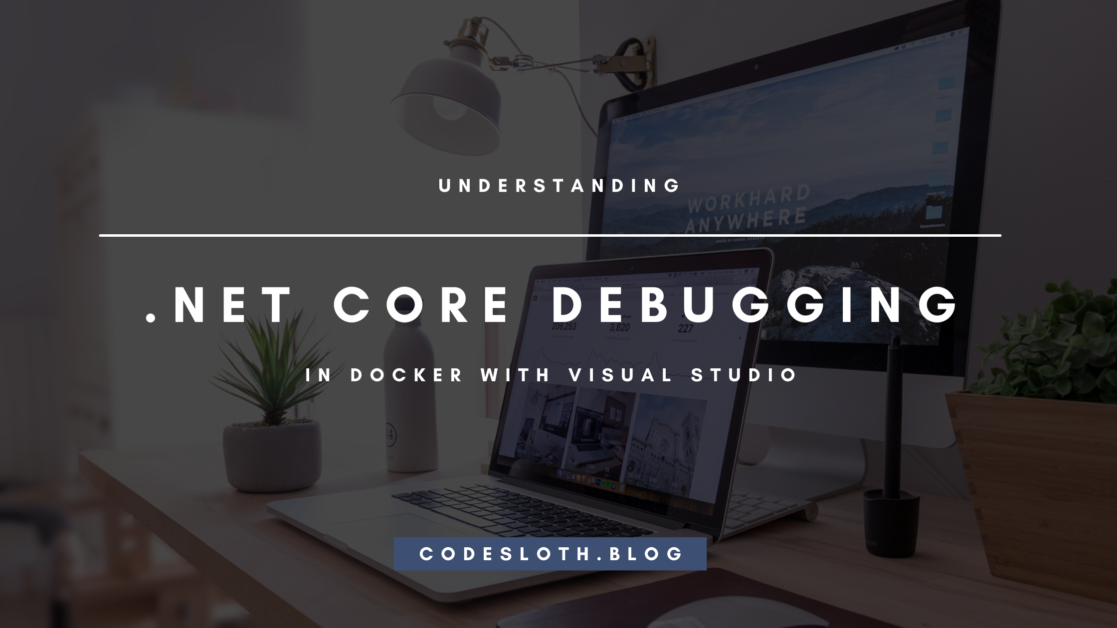 [Tutorial] Debugging .Net Core Applications in Docker with Visual Studio