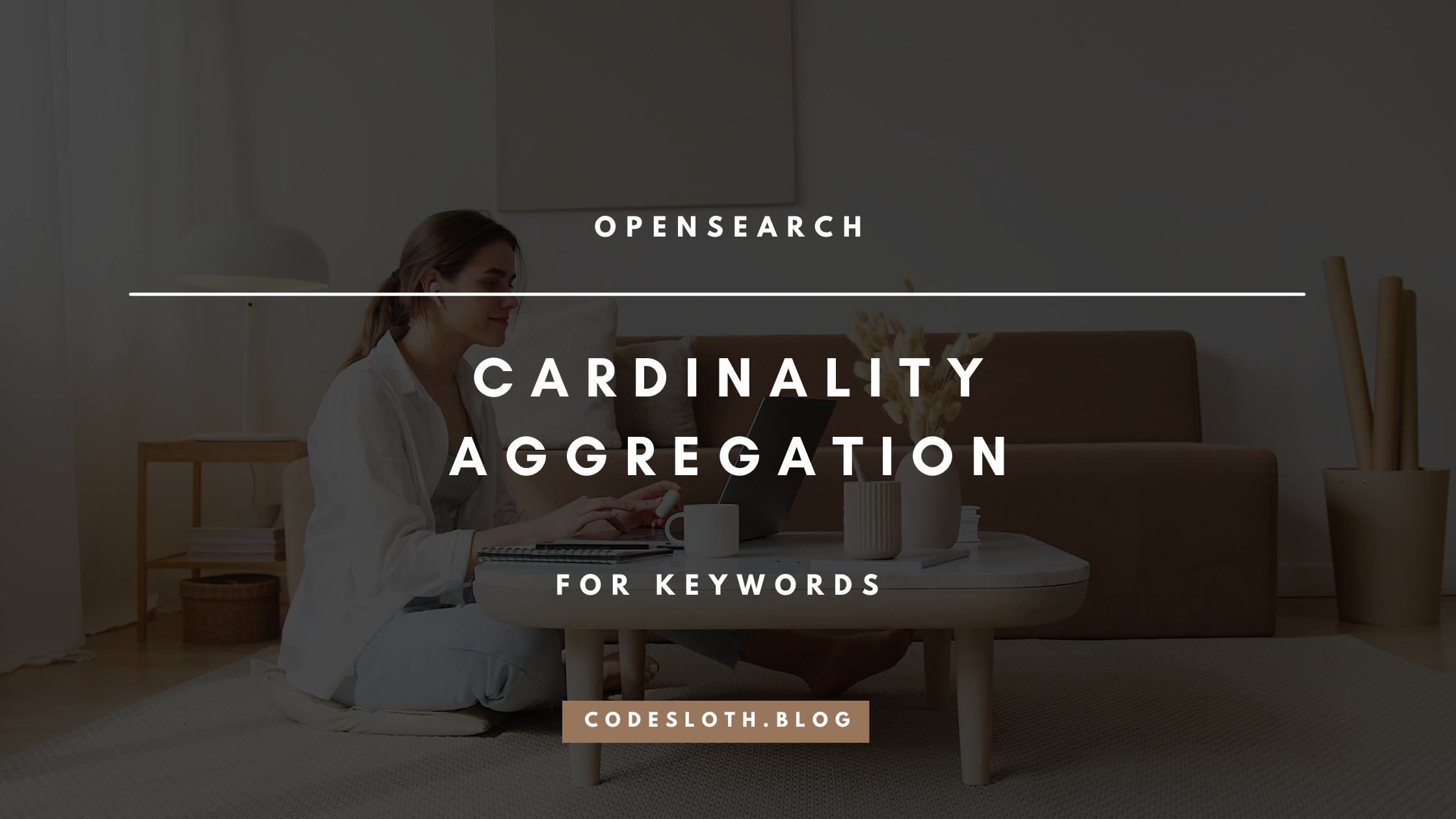 [Tutorial] OpenSearch Keyword Cardinality Aggregation