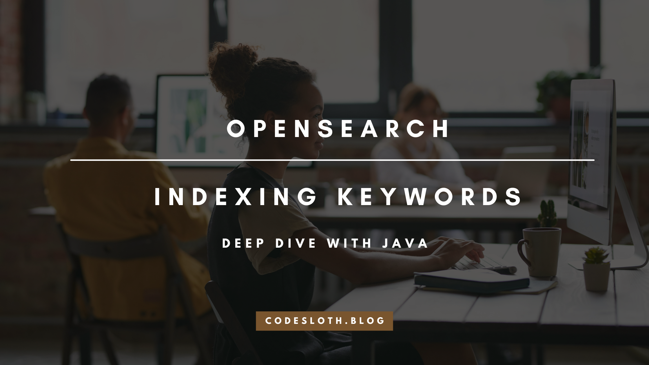 [Tutorial] OpenSearch keyword field in Java Indexing Deep Dive